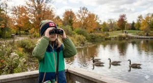 An illustration of a young explorer using binoculars to spot a Canada Goose in a local suburban park.