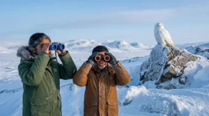 A child in a winter parka using top rated kids binoculars to look at a Snowy Owl in the Canadian tundra.